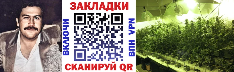 Виды наркотиков купить Сланцы МЕТАДОН  АМФЕТАМИН  Меф  Гашиш  Каннабис  A-PVP 