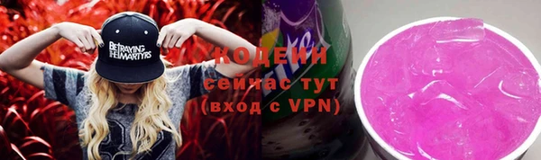 ГАЛЛЮЦИНОГЕННЫЕ ГРИБЫ Арсеньев