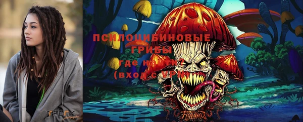 первитин Армянск