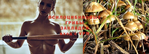 мескалин Аркадак