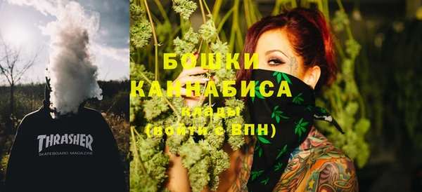 ГАЛЛЮЦИНОГЕННЫЕ ГРИБЫ Арсеньев