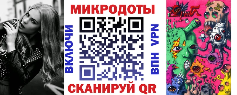 Галлюциногенные грибы Psilocybine cubensis  хочу   Сланцы 